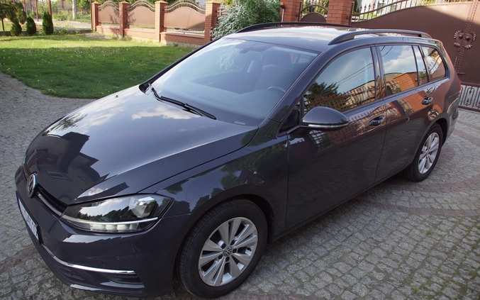 Volkswagen Golf cena 67000 przebieg: 70200, rok produkcji 2019 z Sandomierz małe 781